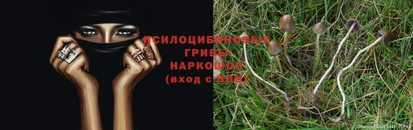 таблы Верхний Тагил